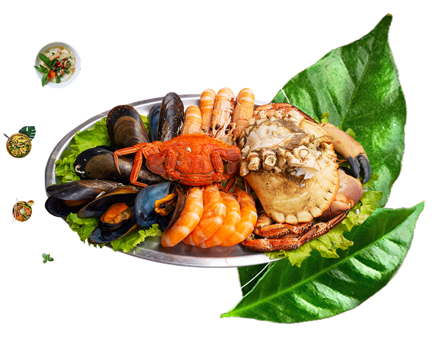 Its Quick & Amusing!